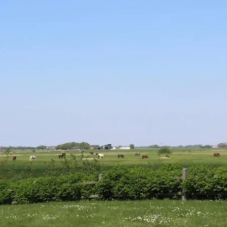 Friesenbrise Prázdninový dům Sankt Peter-Ording