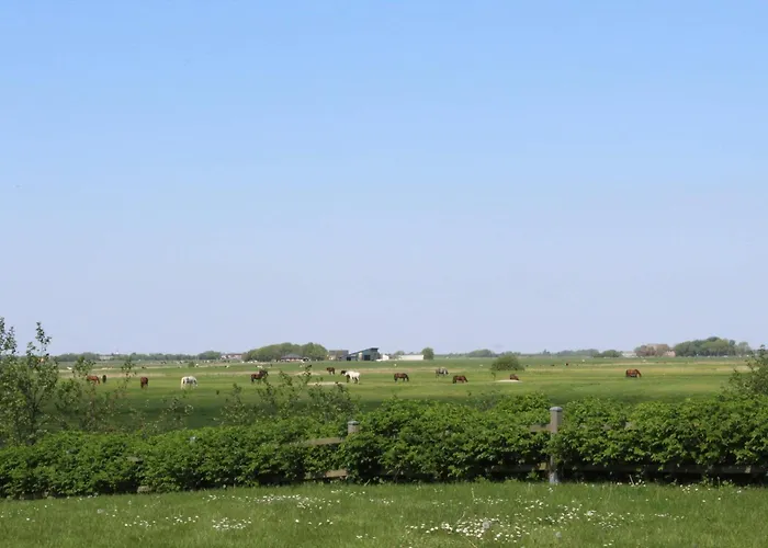 Friesenbrise Feriehus Böhl